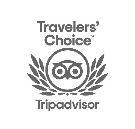 Trip Advisor Logo